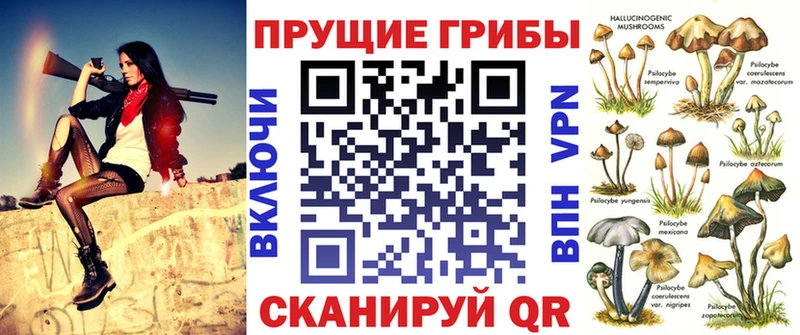 Галлюциногенные грибы Psilocybine cubensis  мега tor  Нефтекамск  как найти  